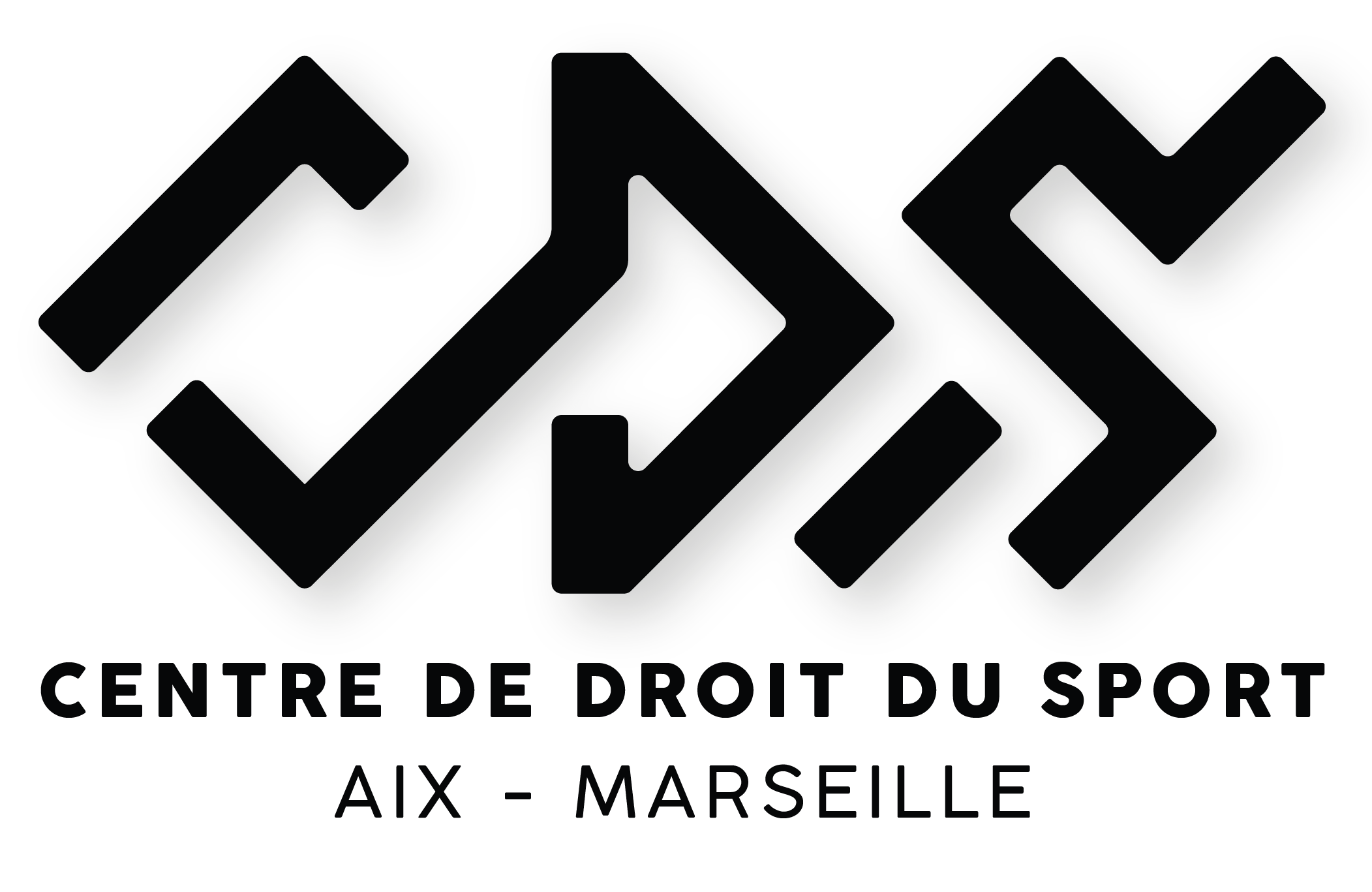 Ligne de vêtements siglés CDS